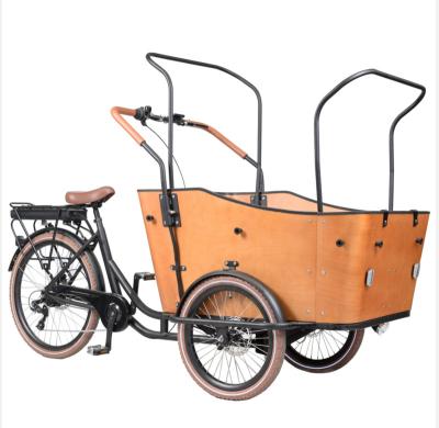 China Supply 250W Manufacturer Carbon Steel Bike Electric Cargo Tricycle Electric Cargo Tricycle Bakfiets for sale