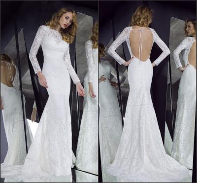 China Long Sleeve Mermaid Lace Backless Mother Of the Bride Dresses with Illusion Neckline for sale