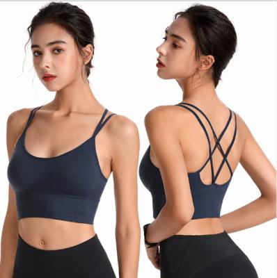 China Custom Sports Bra Gym Fitness Yoga Gather High Intensity Strong Bra Other New Fashion Gym Fitness Women for sale