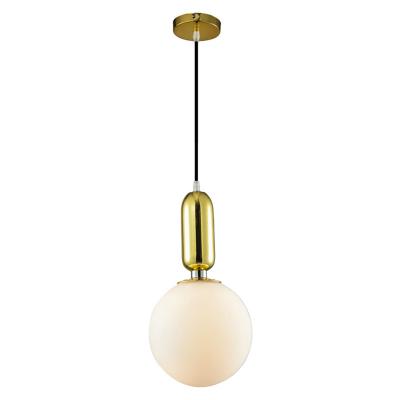 China Modern Hot Selling Designer Kitchen Glass Single Chain Cage Pendant Light for sale