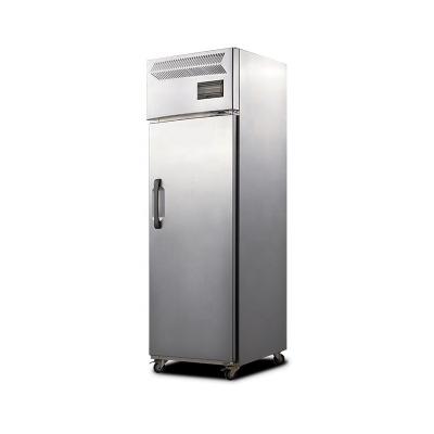 China Hotel Industry Commercial Upright Refrigerator Single-Temperature Single-Door Refrigerator 1-Door Freezer Stainless Steel Refrigerator for sale