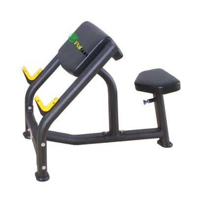 China 2021 Modern Home Gym Weight Bench Barbell Equipment Adjustable Exercise Dumbbell Bench for sale