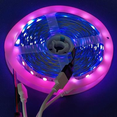 China HOME SMD 5050 led light strip RGB waterproof 5M 300LED DC 12V RGBW RGBWW LED light strips flexible for sale