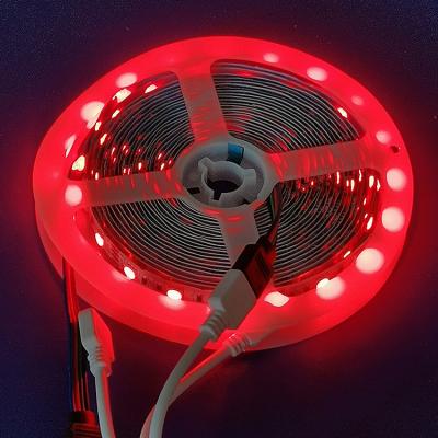 China HOME 5050RGB Color Changing 60PCS Chip Each Meter Remote Control DC12V LED Strip Light for sale