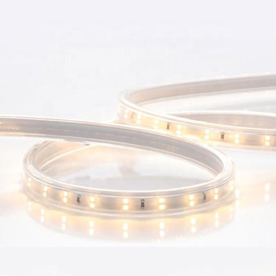 China One Meter One Meter Outdoor Light Waterproof Two Line Cut Project AC IP65 220V 240V SMD 2835 Flexible Strip LED Strip for sale