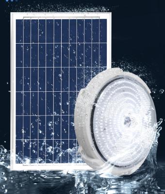 China Solar Indoor Outdoor Home Garden Lights 1000Lumen LED Solar Ceiling Pendant Light with Remote Control Built-in Cool White War for sale