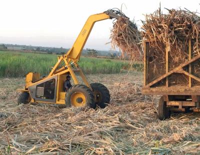 China Cane Grapple HY-4200 Three Wheel Sugar Cane Loader for sale