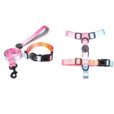 China Best Fashion Pet DETACHED Sale Dog Customized Product Set With Collars Leashes And Harnesses Wholesale for sale