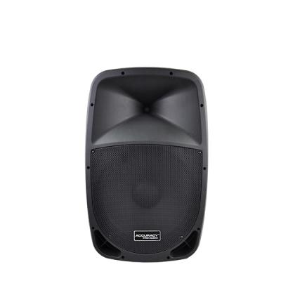 China Outdoor& PMK12 Pro Audio Indoor Accuracy Molded Plastic Cabinet Speaker Passive Passive 300W 12 Inch DJ for sale