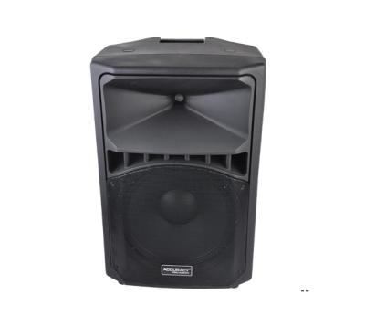 China Outdoor& Pro Indoor Accuracy Speaker CSG15 Full Range Audio Professional 15 Inch Powered Plastic Speaker for sale