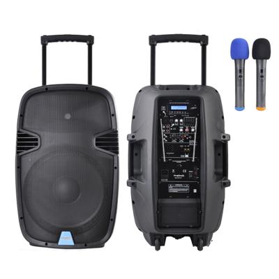 China Outdoor& Indoor Accuracy Pro Audio PML15AVH 15