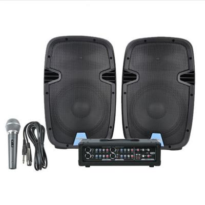 China Pro PML12L-409 KIT Powered Speaker Professional Portable Accuracy PA System Audio Speaker with Microphone DJ for sale