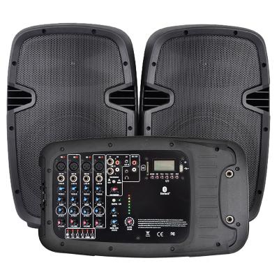 China Indoor& Pro PML10KIT 300W Outdoor Accuracy PA System Audio Portable Speaker For Sale DJ for sale