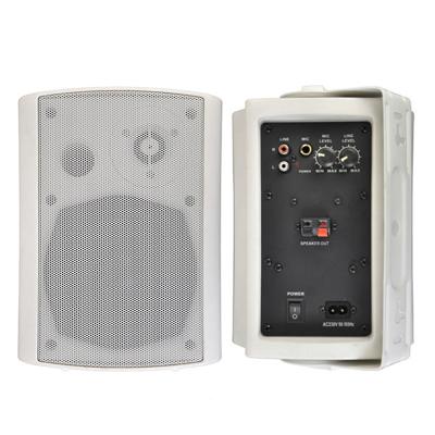 China RA-1110 Pro Accuracy Public Address System Outdoor Public Address System In Wall 6.5 Inch Powered Speaker for sale