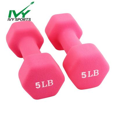 China Universal Hot Sale China Factory High Quality Exercise Fitness Ring Dip Plastic Dumbbell for sale