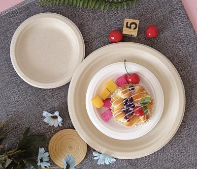 China Best Selling Biodegradable 10 Inch Walson Paper Bagasse Dish Sugar Cane Disposable Party Cake Dish for sale