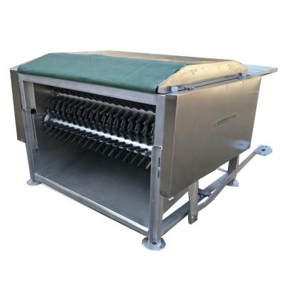 China 500 BPH automatic industrial chicken plucker for quail duck and chicken for sale