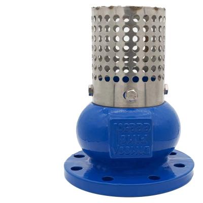 China Stainless Steel Strainer China Factory General Foot Valve With Stainless Steel Strainer for sale