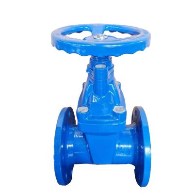 China Recommended Quality Gate Valve Seat Gate Valve General Hot Selling High Quality Elastic Cast Iron for sale