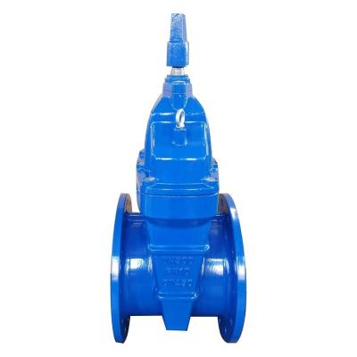 China General Popular Recommendation Malleable Iron Flange Gate Valve German Standard Manual for sale