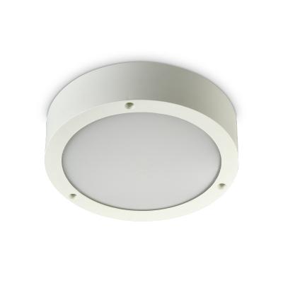 China Mani 90-120LM/W LED Ceiling Light Outdoor Mounted Waterproof Indoor Hotel Balcony Corridor Ceiling Lights for sale