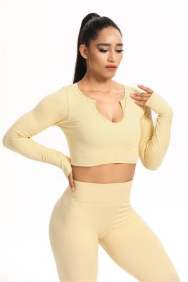 China Breathable Wholesale Top Long Sleeve Seamless Fitness Yoga Set Mesh for sale