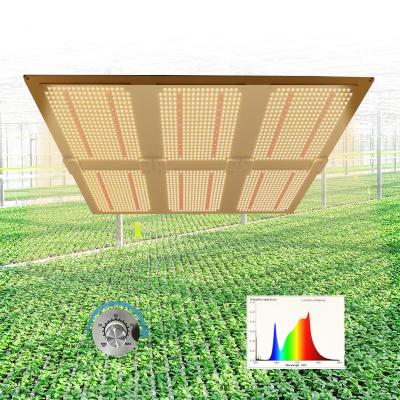 China Dimable HONDO 600W Commercial Plants Grow Indoor 660nm IR UV Grow Panel Full Spectrum Led Plant Lamp Led Grow Lights for sale