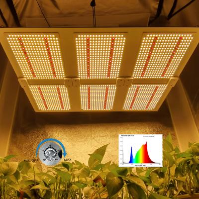 China Dimable HONDO 600W IR Dimmer 660nm UV Red LED Pans Led Full Spectrum Plant Grow Lights Veg Fruit Growing Lamp for sale