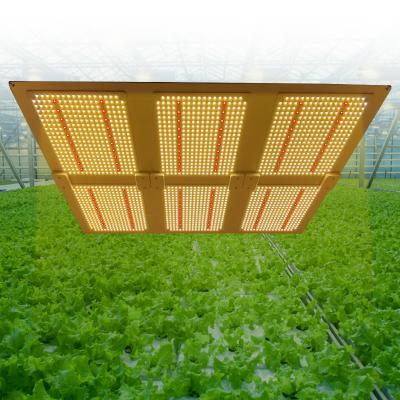 China Dimable HONDO 600W Plant Growing Indoor Commercial UV IR Dimmable Full Spectrum Led Plant Lamp Led Grow Lights for sale