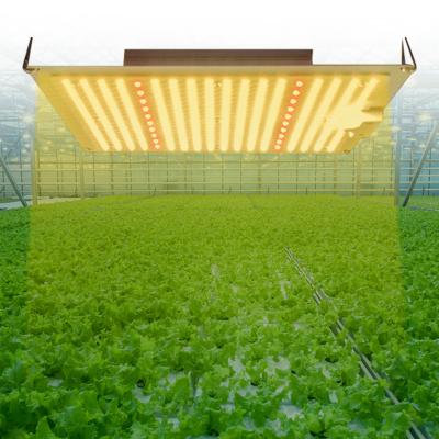 China Dimable grow light maker seed plant red grow hydroponic cob led grow light panel hps led grow light for sale