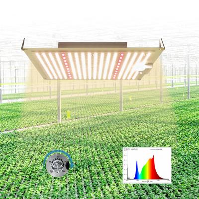 China Dimable HONDO Hot Selling Led Commercial To Grow Light Full Spectrum Plant Grow Light To Plant To Grow Tent for sale