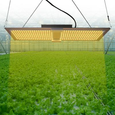 China Seed Planting Factory Wholesale 200W Led Grow Light Manufacturers 660nm Red Chips Grow Lights For Indoor Garden for sale