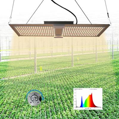 China Dimable Waterproof 200W Plant LED Grow Lights 5x5 Indoor Plant Grow Light For Greenhouse Garden Plant for sale