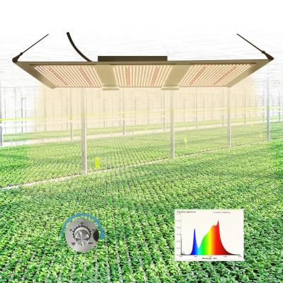 China Wholesale Price Dimable Led Grow Light Indoor Plants Lighting Full Spectrum Farmhouse Greenhouse Led Plant Lamp for sale