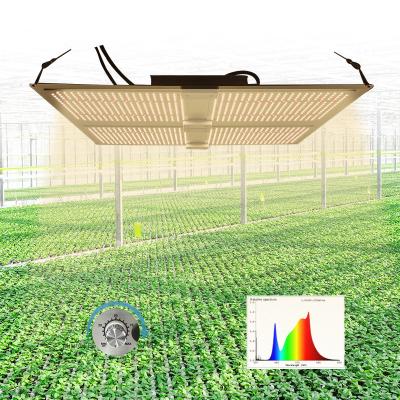 China Dimable HONDO 400W Favoring Farm Plant Grow Indoor Greenhouse Full Spectrum Led Plant Lamp Led Grow Lights for sale