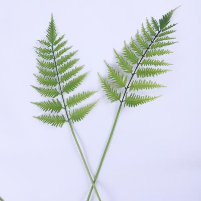 China Yiwu Contemporary Household Artificial Ferns Preserved Natural Faux Everlasting Leaf Greenery Plants Wedding Party Home Decor for sale