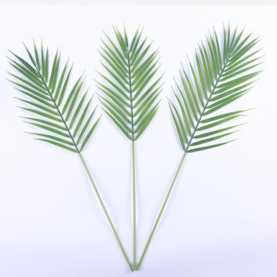 China Contemporary Custom Design Hot Sale Boston Artificial Cheap Faux Ferns Green Leaf Wall Plastic Green Wedding Party Decor for sale