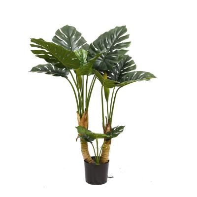 China Contemporary Made In China Indoor And Outdoor Artificial Green Plants Decorate Back Grouper Turtle Tree for sale