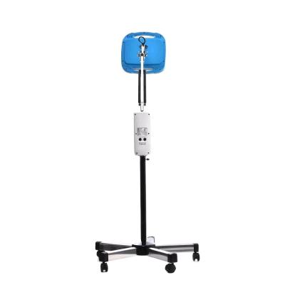 China Hot Selling Pain Relief Sciatica Pain Relief Shockwave Therapy Device Lphysiotherapy Electromagnetic Radial Heating Machine for sale