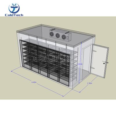 China Container Low Cost Walk In Cooler Display Freezer With Glass Door For Supermarket for sale