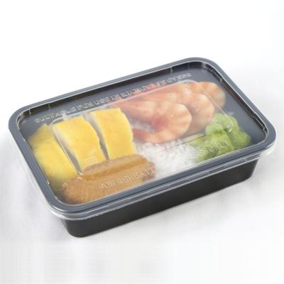 China Alibaba China Supplier Microwave Safe Recyclable 500ml Containers Plastic Food Packaging Lunch Box for sale