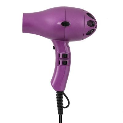 China Ionic Factory Wholesale Compact Salon 1800W Professional Hair Dryers with Low Noise Blow Dryer for Long Short Wavy Hair for sale