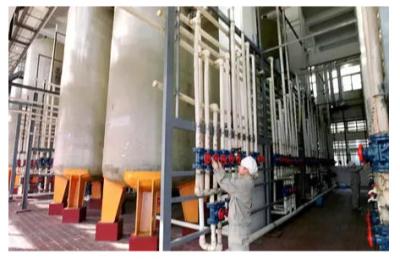 Cina Uscita annuale 50000 tonnellate di acido umico/progetto chiave di giro del fertilizzante acido umico in vendita