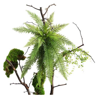 China Style: Pastoral Feel Ferns Simulation Grass Home Wedding Landscape Decoration Persian Plant Wall With Green Plants Garden Landscaping for sale