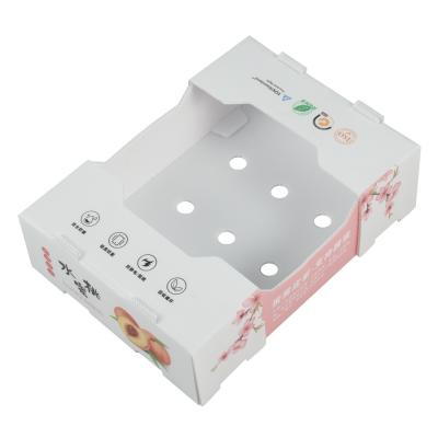 China White Rectangular Plastic Corrugated Box Fruit Vegetable Gift Packing Corrugated Plastic Storage Bins for sale