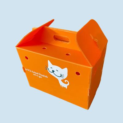 China Corrugated Turnover Box Animal Moving Pet Cages plastic corrugated foldable boxes for sale