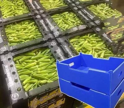 China Cajas de plástico corrugado de PP Caja de hoja hueca de peso ligero Vegetales impermeables en venta