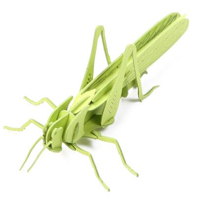 China DIY Practice Green Grasshopper 3d Paper Craft Model For Kids for sale