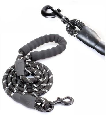 China Hot Selling Custom Made Nylon Luxury Dog Leash Viable Quality Portable Dog Leash for sale