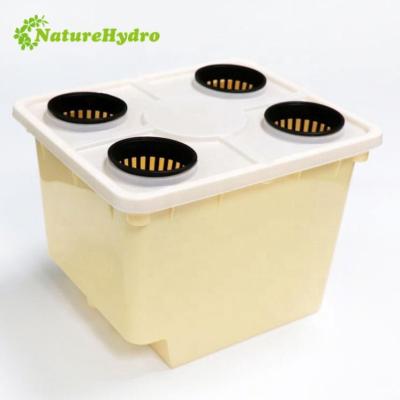 China Factory price agricultural hydroponic vine tomato planting system for Dutch bucket for sale